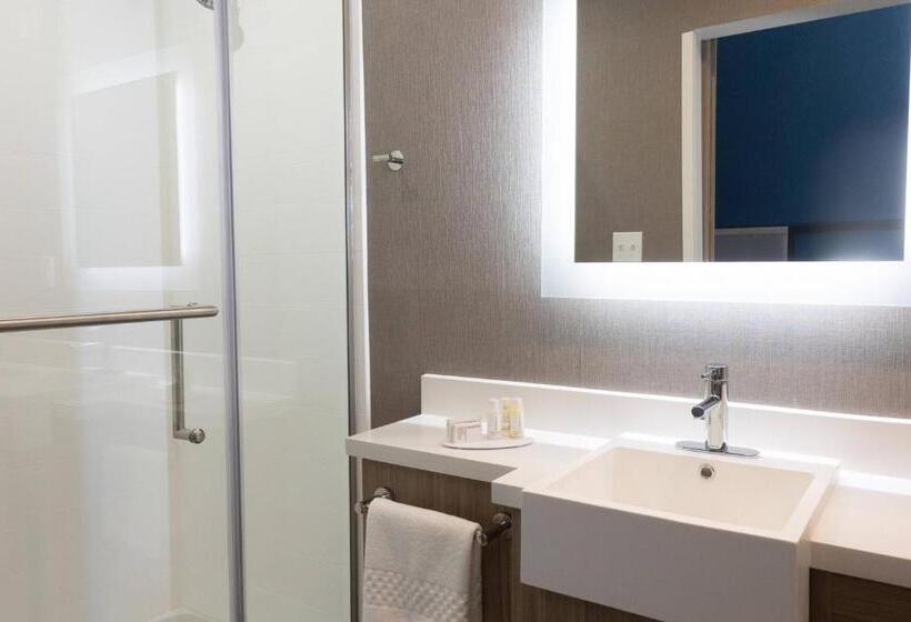 Люкс Адаптированный для Инвалидов, Springhill Suites By Marriott Slidell