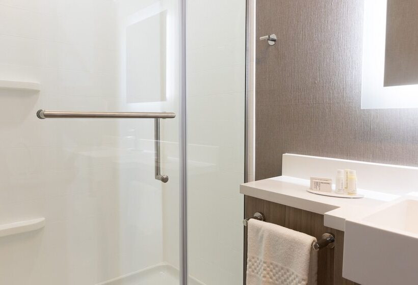 Люкс, Springhill Suites By Marriott Slidell