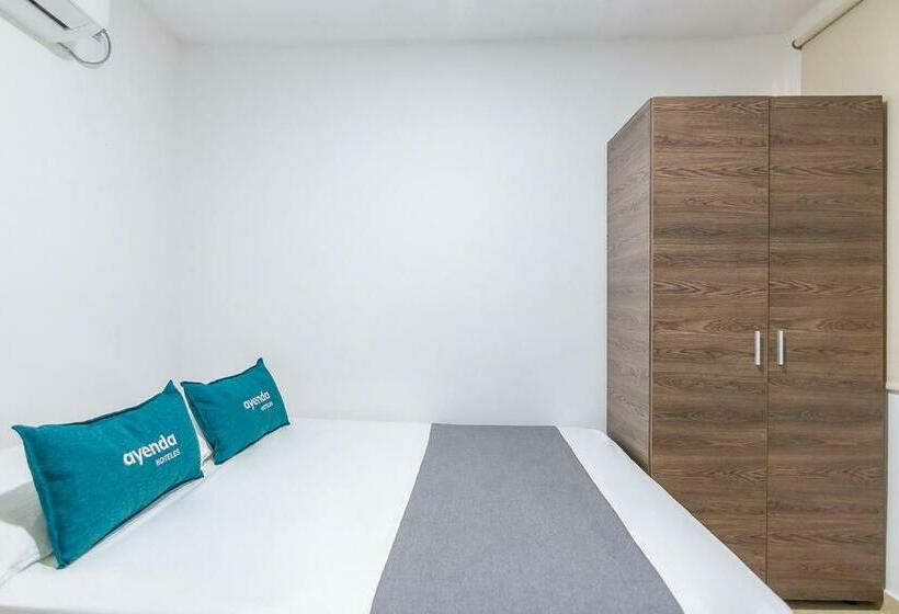 Quarto Estandar, Gaia