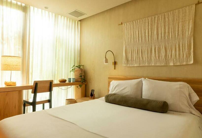 스탠다드 룸, 23 Hotel Medellin