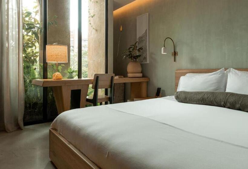 스탠다드 룸, 23 Hotel Medellin