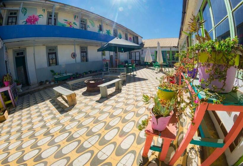 اتاق استاندارد, Bichon La Casa Hostal