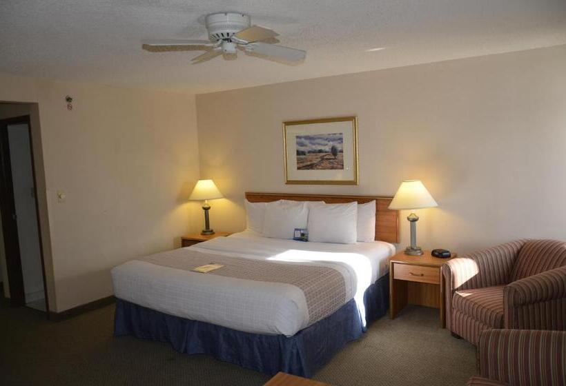 استودیو استاندارد با تخت کینگ, Baymont By Wyndham Davenport