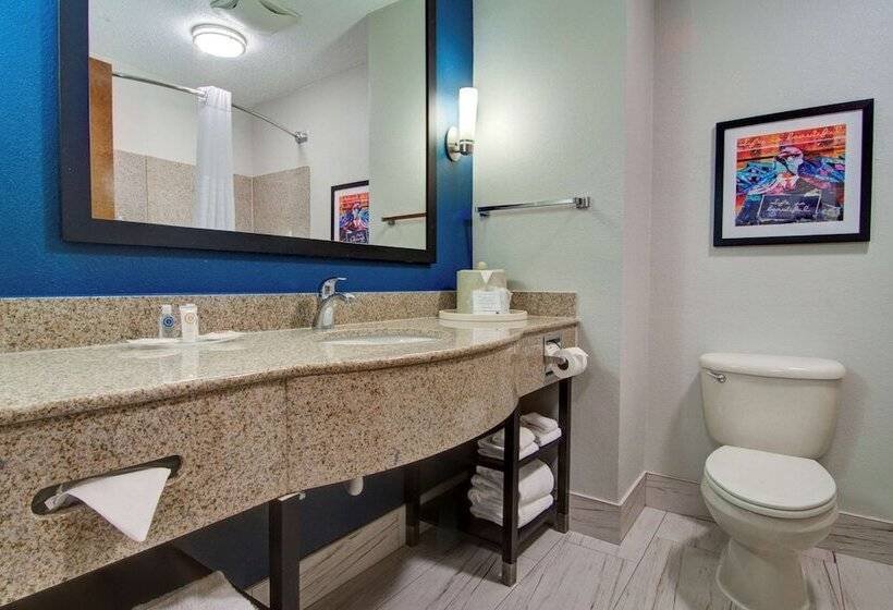 Номер Стандарт Адаптированный для Инвалидов, Comfort Suites Newport News Airport