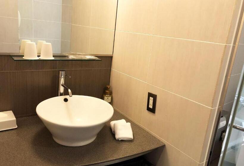 Номер Стандарт, Citadines Central Shinjuku Tokyo