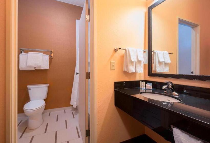 Номер Deluxe Адаптированный для Инвалидов, Comfort Inn & Suites Green Bay Stadium Area