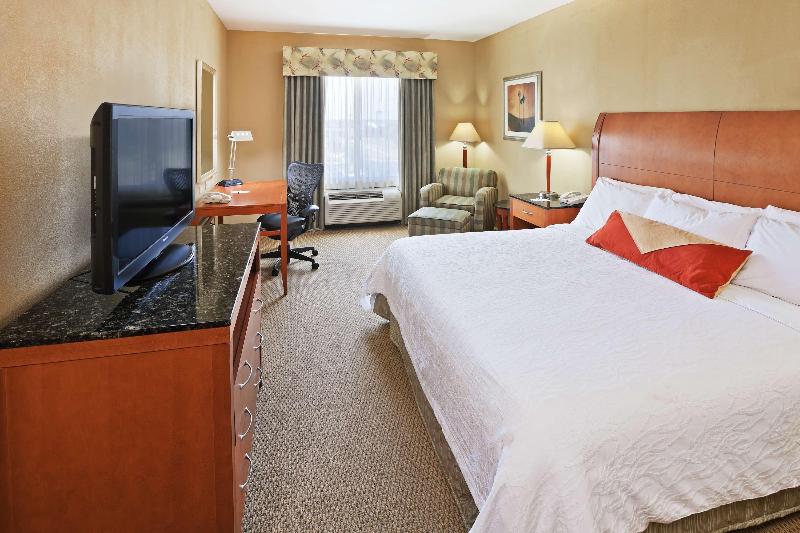 اتاق استاندارد با تخت بزرگ, Hilton Garden Inn Tulsa South