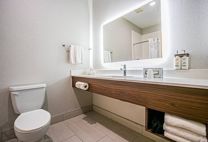 Suíte, Holiday Inn Express Hotel And Suites South Padre Island, An Ihg
