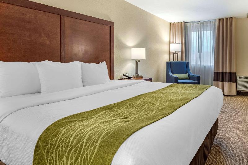 Стандартный Номер Кровать Кинг, Comfort Inn & Suites Albuquerque Downtown