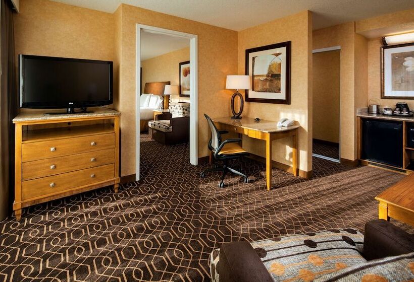 سوییت, Doubletree Suites By Hilton Anaheim Rsrt   Conv Cntr