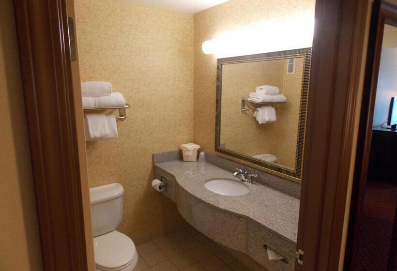 Стандартный Номер Кровать Кинг, Holiday Inn Express Syracuse Fairgrounds, An Ihg