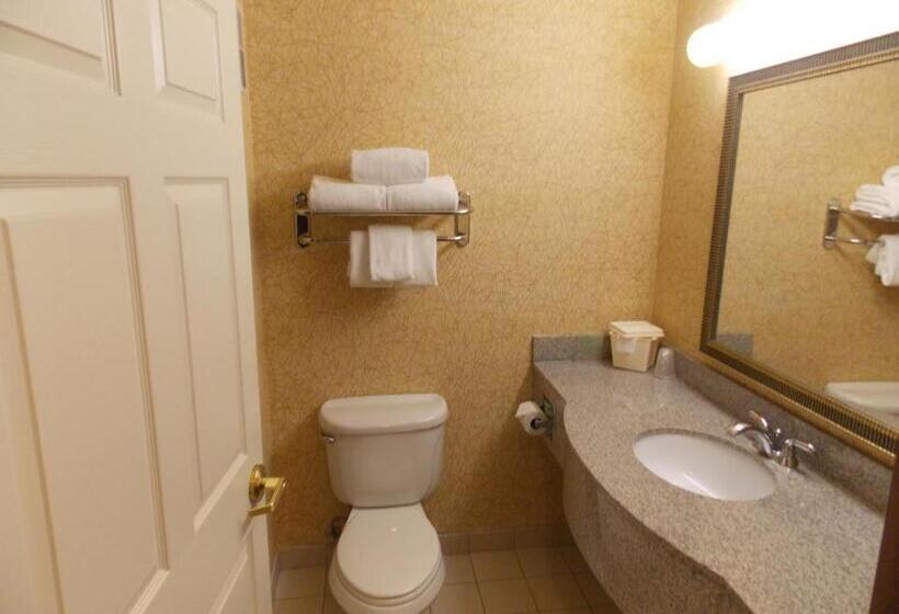 Стандартный Номер Кровать Кинг, Holiday Inn Express Syracuse Fairgrounds, An Ihg
