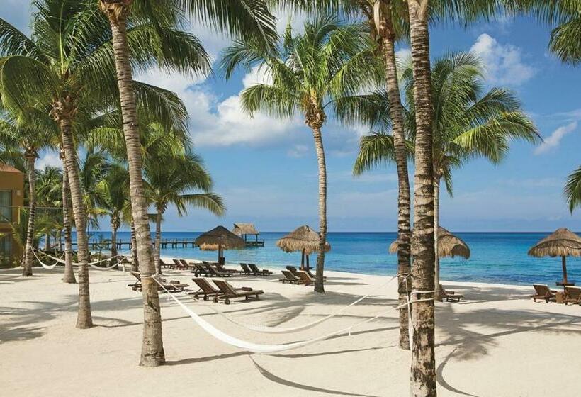 Junior Suite Superior Widok Morze, Secrets Aura Cozumel   Adults Only