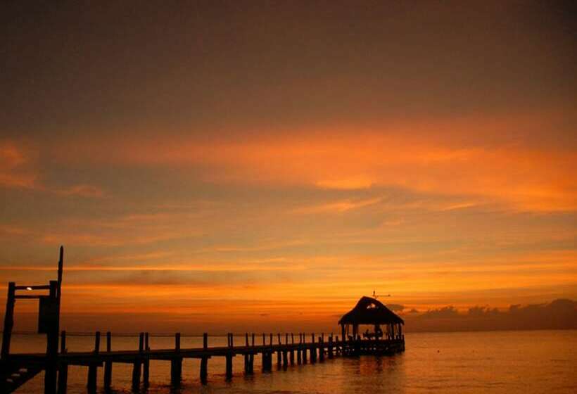 Junior Suite Widok Morze, Secrets Aura Cozumel   Adults Only