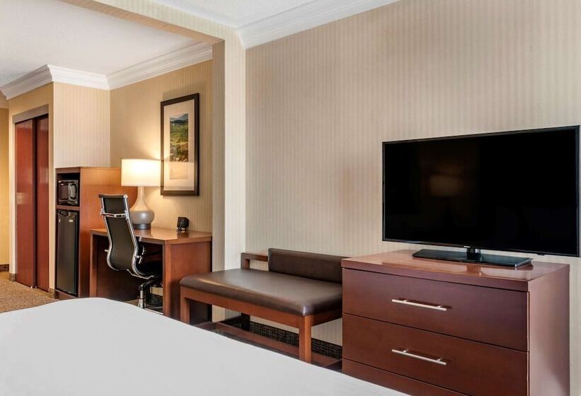 套房, Comfort Suites Downtown Carlisle