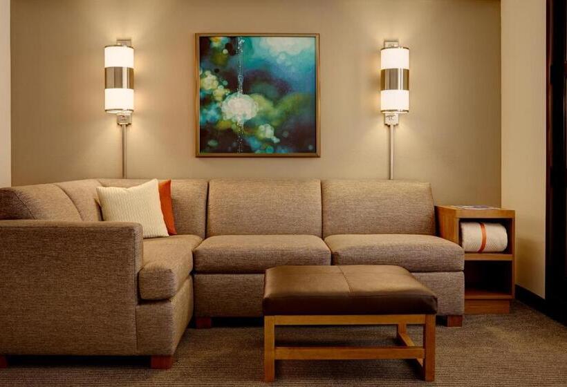 اتاق استاندارد با 2 تخت دوبل, Hyatt Place Chantilly Dulles Airport South