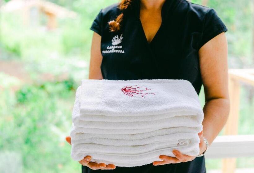 Студия Стандарт, Cabanas Da Viscondessa