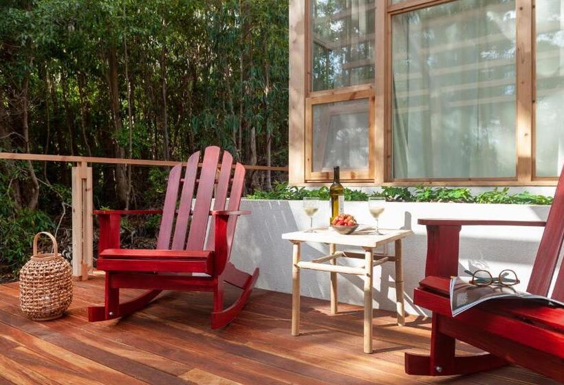 Студия Стандарт, Cabanas Da Viscondessa