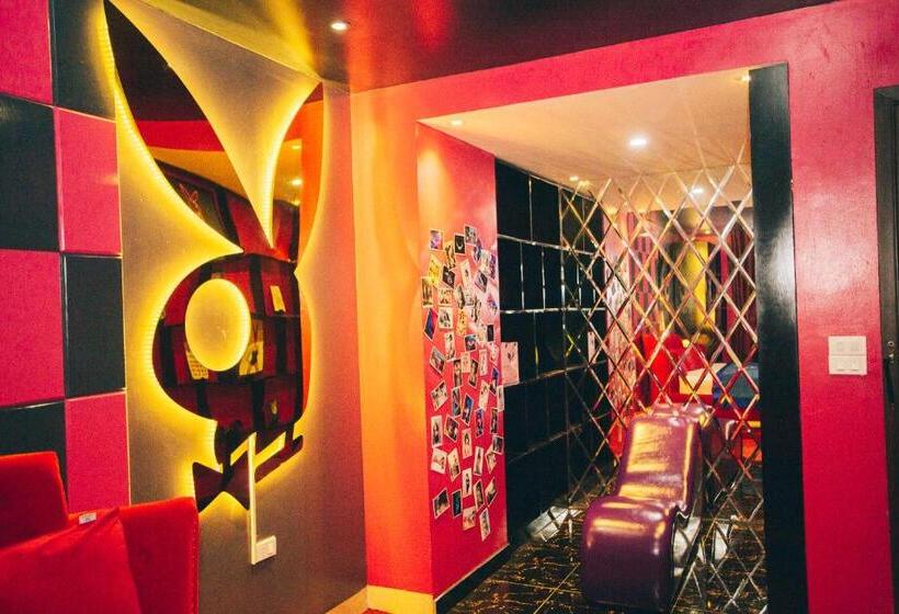 اتاق لوکس, Zen Hotel Hạ Long