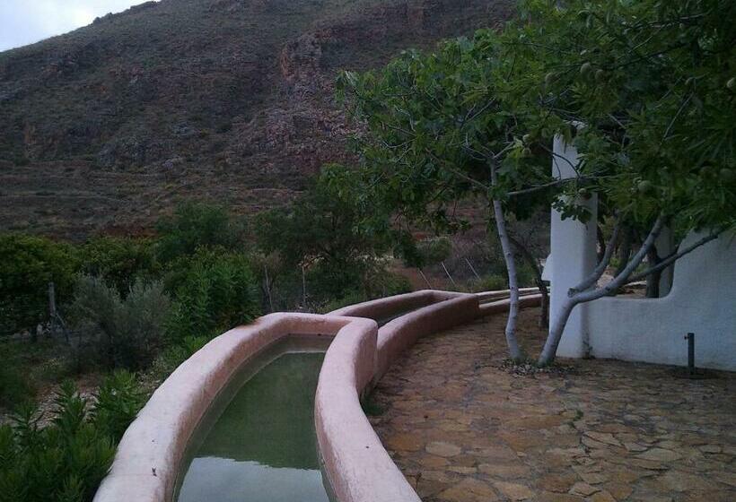 テラス付きスタンダードルーム, Rural Cortijo La Alberca