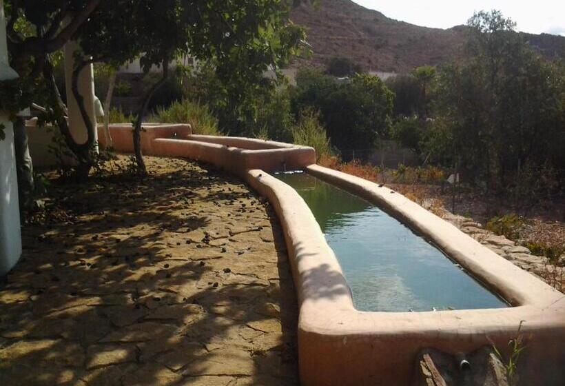 带露台的标准房间, Rural Cortijo La Alberca