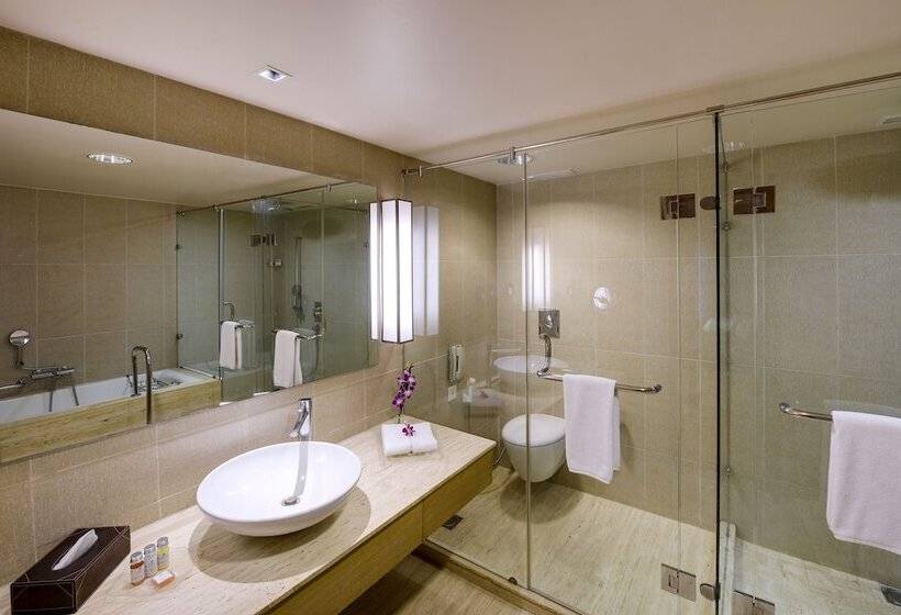 غرفة سوبيريور, Svelte Delhi, A Member Of Radisson Individuals