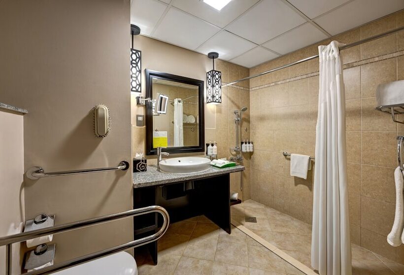 Номер Стандарт Адаптированный для Инвалидов, Holiday Inn Dubai Al Barsha, An Ihg