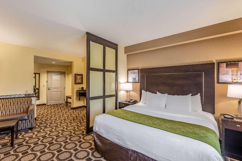سوئیت با تخت بزرگ, Holiday Inn Express & Suites Lexington, An Ihg