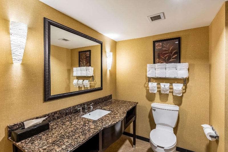 سوئیت با تخت بزرگ, Holiday Inn Express & Suites Lexington, An Ihg