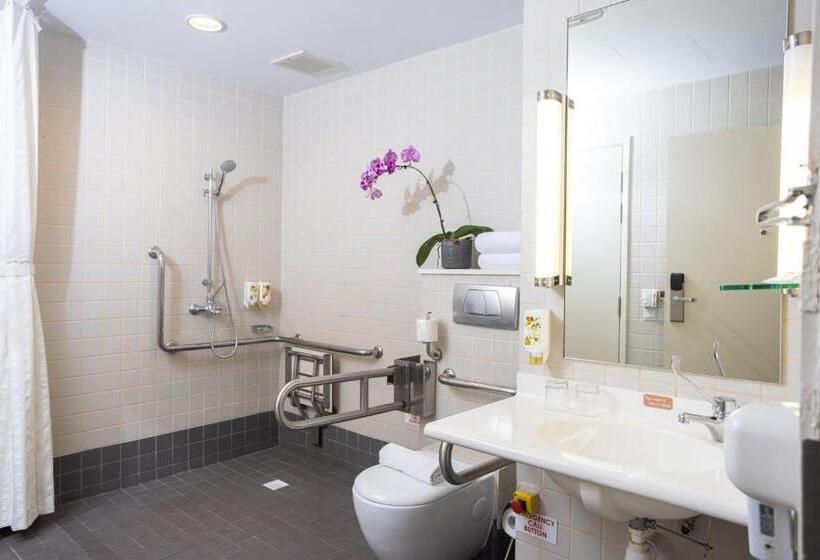 اتاق استاندارد یک نفره, Ibis Singapore On Bencoolen