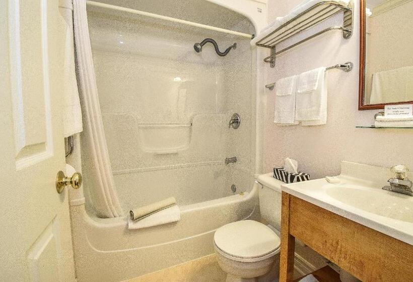 اتاق استاندارد با تخت بزرگ, Blairpen House Country Inn