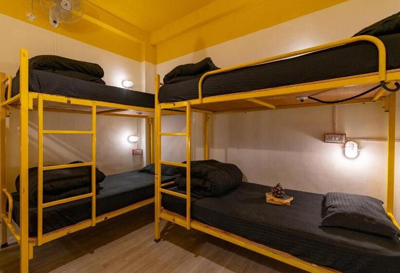 공동 객실, Jungle Hostel By Whoopers