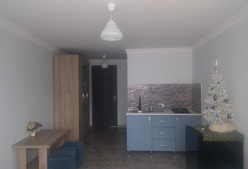 اتاق استاندارد, Guest House Sando
