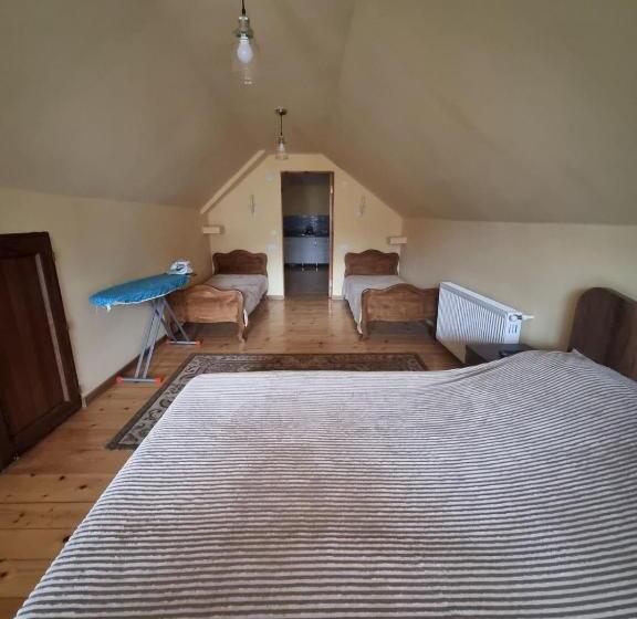 اتاق خانوادگی, Guest House Sando