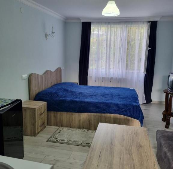 اتاق استاندارد, Guest House Sando