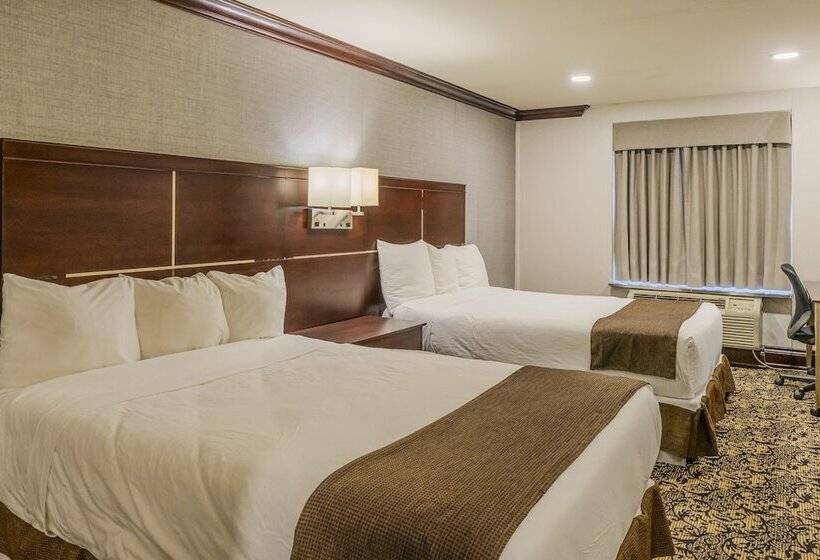 اتاق استاندارد با 2 تخت دوبل, Woodbine Hotel & Suites
