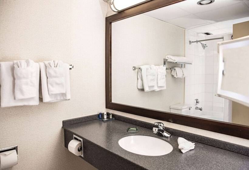 Люкс с гидромассажем, Wyndham Edmonton Hotel And Conference Centre