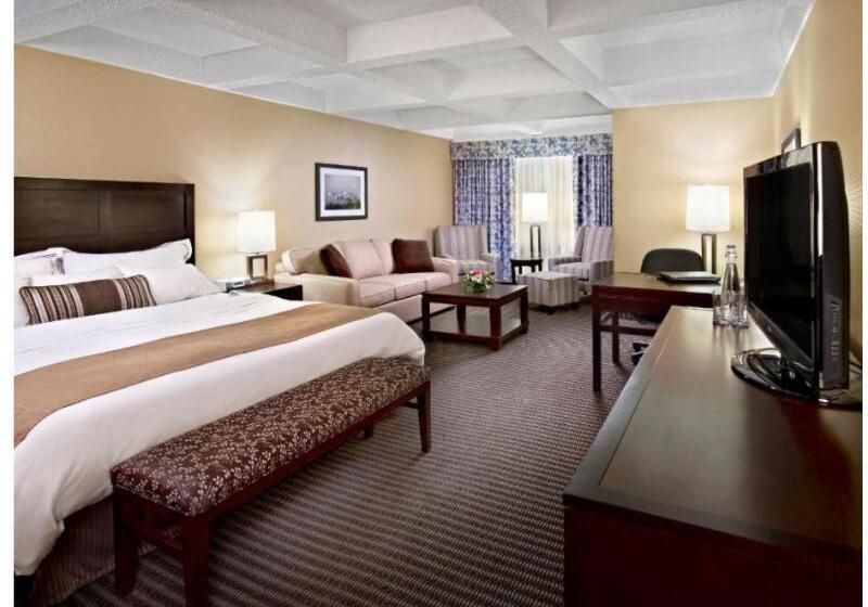 Стандартный Номер Кровать Кинг, Wyndham Edmonton Hotel And Conference Centre
