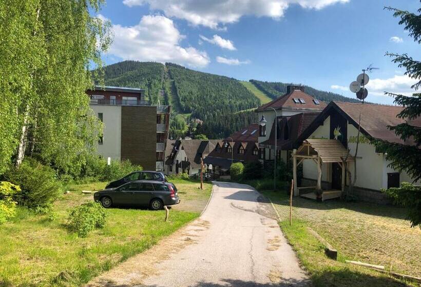 Номер Стандарт, Pension Mona