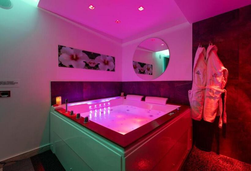 اتاق استاندارد با تخت بزرگ, Ibisco Suites