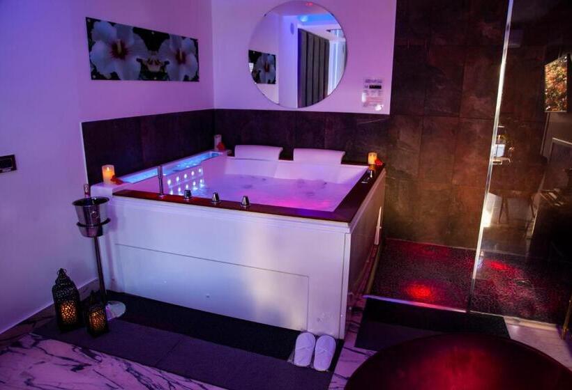 اتاق استاندارد با تخت بزرگ, Ibisco Suites