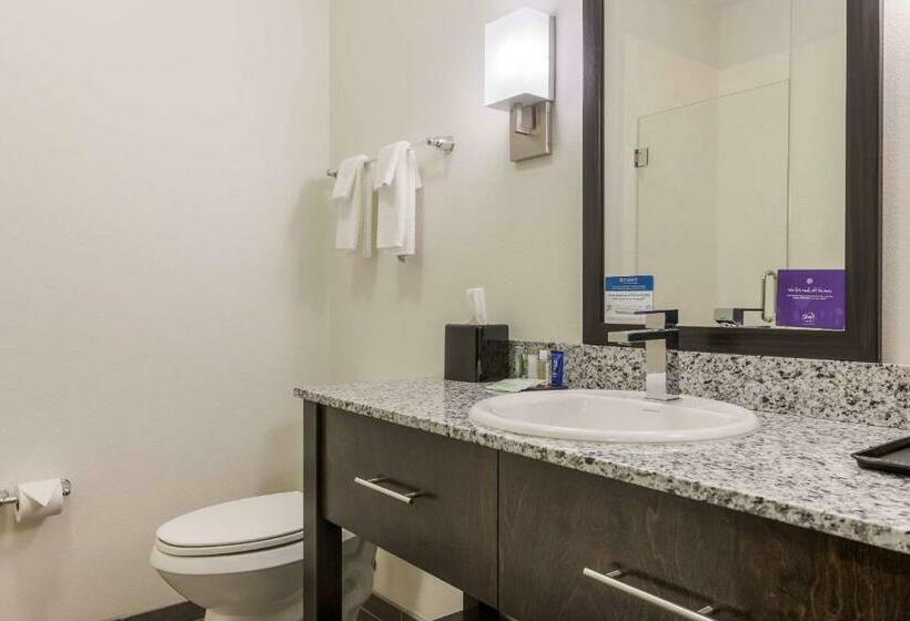 Номер Стандарт, Sleep Inn & Suites Webb City