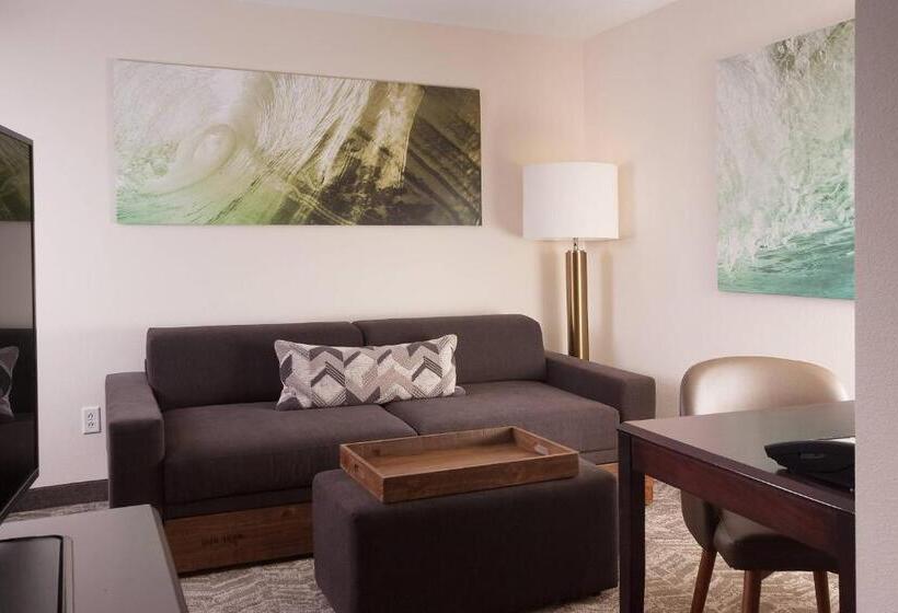 Люкс, Springhill Suites Orlando Airport