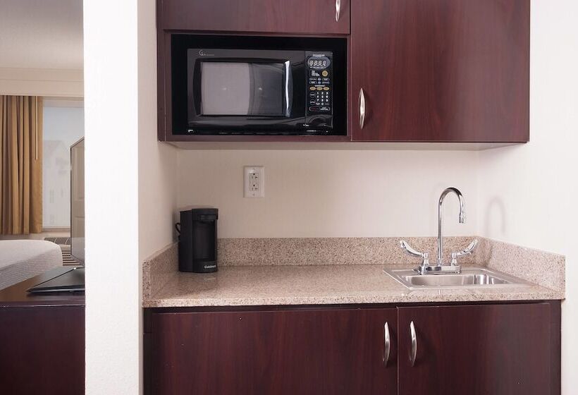 Люкс Адаптированный для Инвалидов, Springhill Suites Orlando Airport