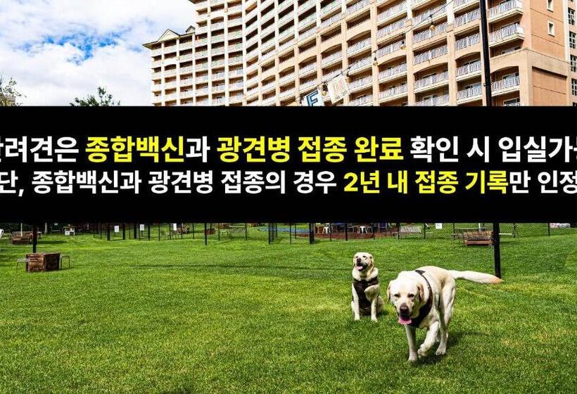 스위트, Sono Pet Clubs & Resorts Vivaldi Park