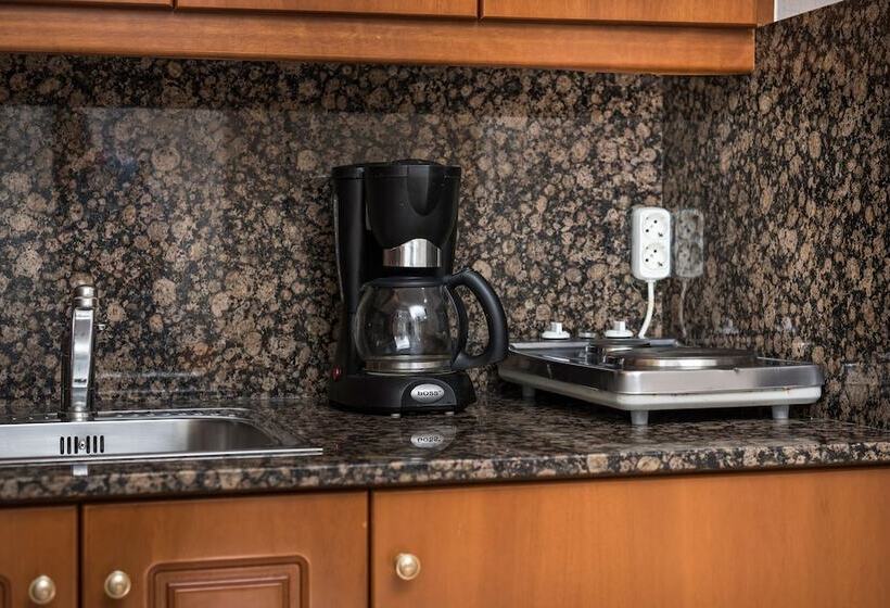 Студия Стандарт, Elotis Suites