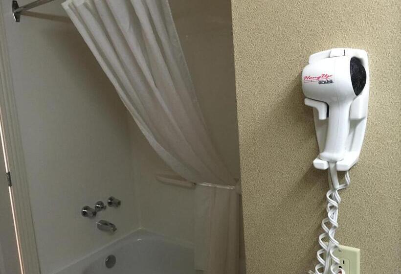 חדר סטנדרט נוף לגינה, Motel Vue Belvédère