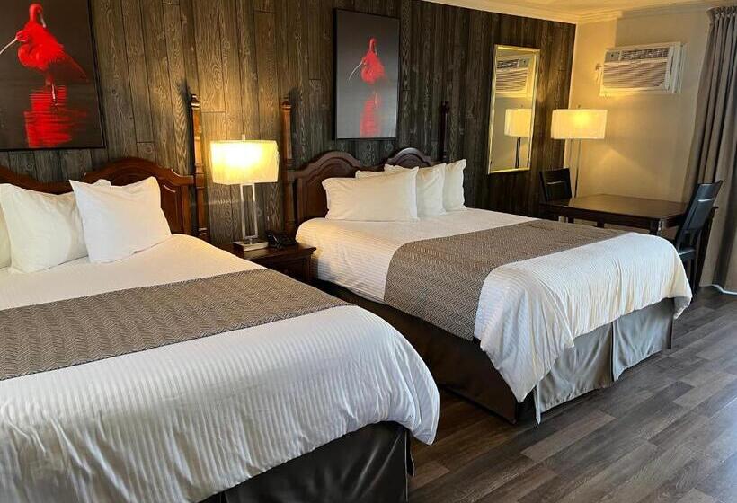 스탠다드 4인용 룸 바다전망, Motel Vue Belvédère