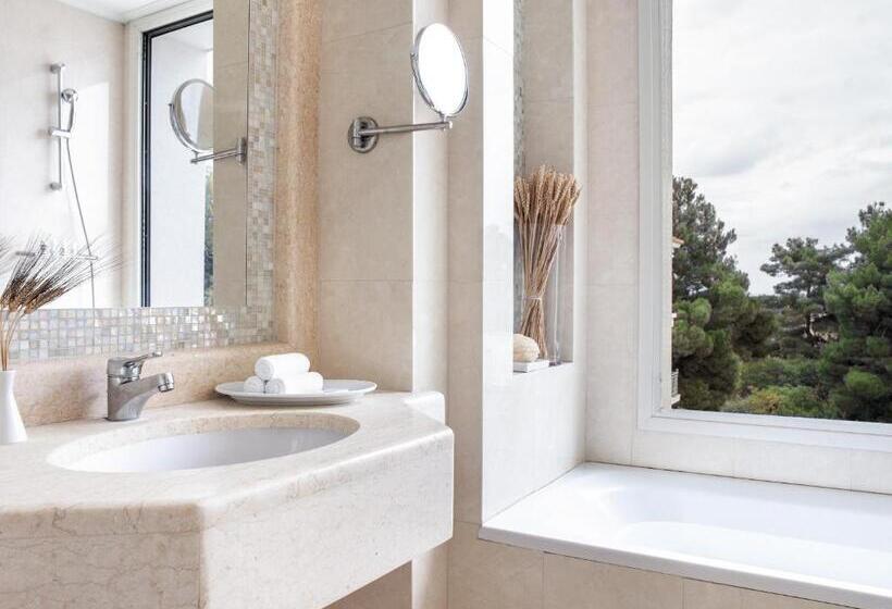 Люкс Executive Вид на Сад, Grecotel Larissa Imperial