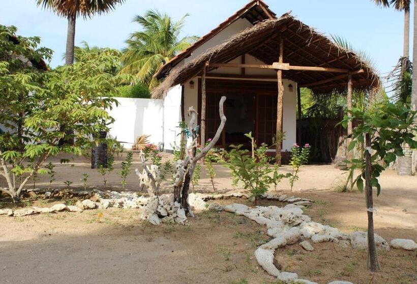 اتاق استاندارد با بالکن, Margarita Kitesurfing School Sri Lanka